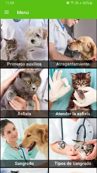 Play Curso de veterinaria  and enjoy Curso de veterinaria with UptoPlay