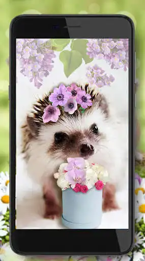 Play Cute Animal Babies as an online game Cute Animal Babies with UptoPlay