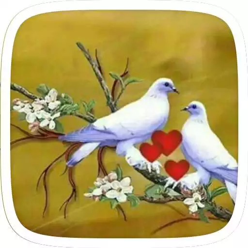 Free play online Cute Birds Theme APK