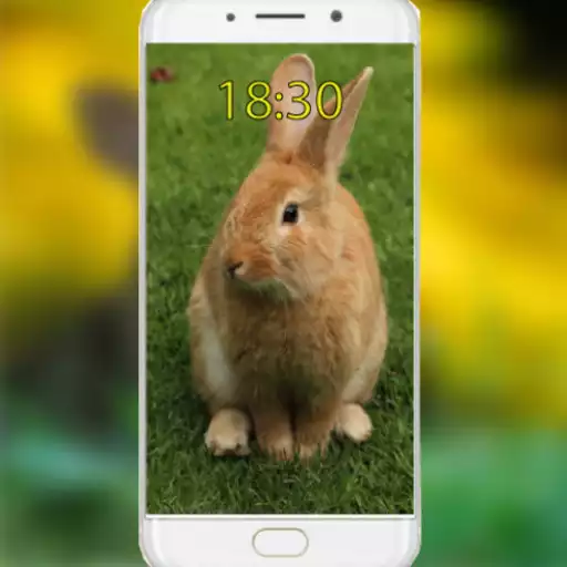 Play Cute Bunny Wallpaper APK