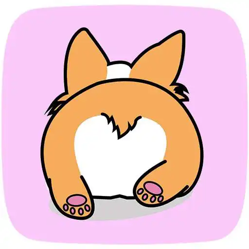 Play Cute Corgi Wallpapers APK