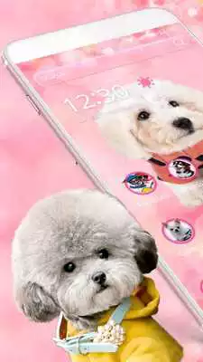 Play Cute Dog Theme