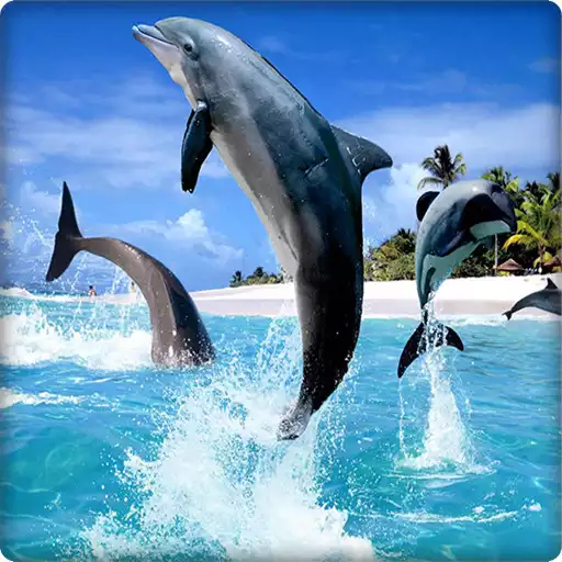 Play Cute Dolphin  Wallpaper HD APK