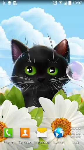 Play Cute Kitten Live Wallpaper