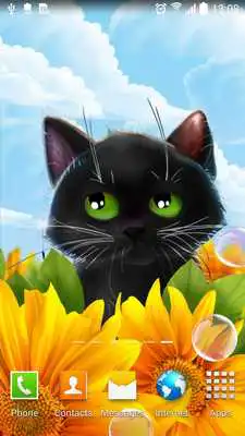 Play Cute Kitten Live Wallpaper