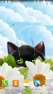 Play Cute Kitten Live Wallpaper