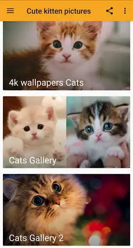 Play Cute kitten pictures  and enjoy Cute kitten pictures with UptoPlay