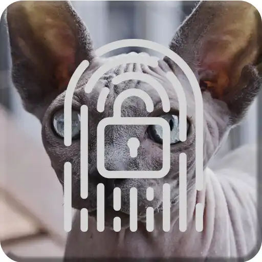 Play Cute Kitten Sphinx Cat Lock Screen APK