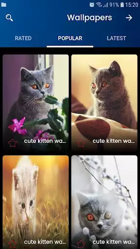 Play CUTE KITTEN WALLPAPER  and enjoy CUTE KITTEN WALLPAPER with UptoPlay