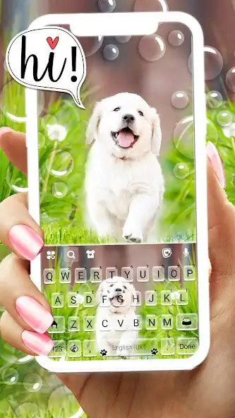 Play Cute Lab Puppy Theme  and enjoy Cute Lab Puppy Theme with UptoPlay