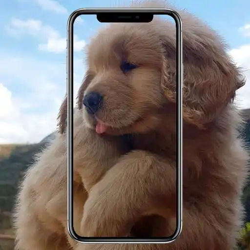 Play Cute Lab Puppy Wallpaper APK