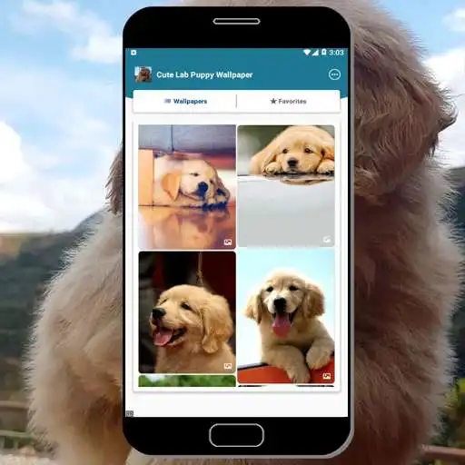 Play Cute Lab Puppy Wallpaper  and enjoy Cute Lab Puppy Wallpaper with UptoPlay