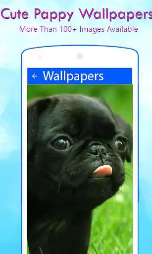 Play Cute Pappy Wallpapers  and enjoy Cute Pappy Wallpapers with UptoPlay