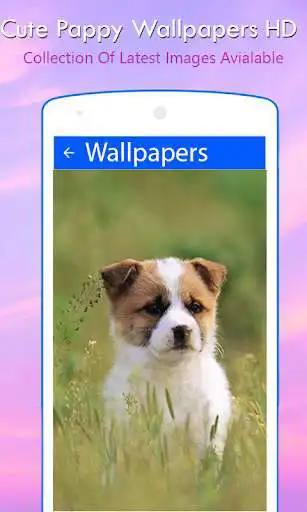 Play Cute Pappy Wallpapers as an online game Cute Pappy Wallpapers with UptoPlay