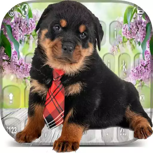 Play Cute Rottweiler Puppies Keyboard APK