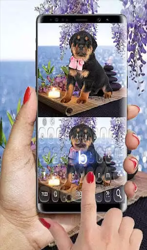 Play Cute Rottweiler Puppies Keyboard as an online game Cute Rottweiler Puppies Keyboard with UptoPlay