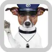 Free play online Cute Wallpapers Of Dogs APK