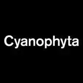 Free play online Cyanophyta APK