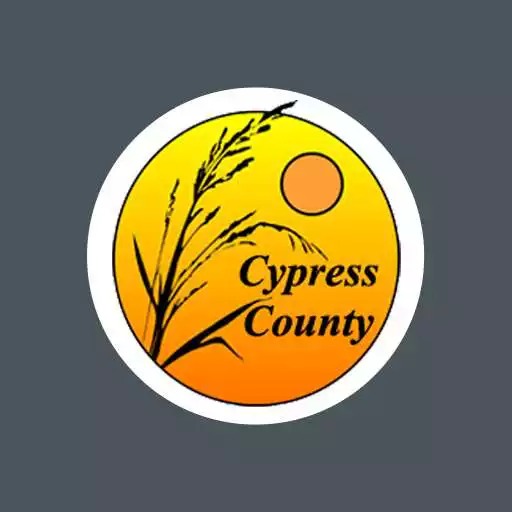 Play Cypress County APK