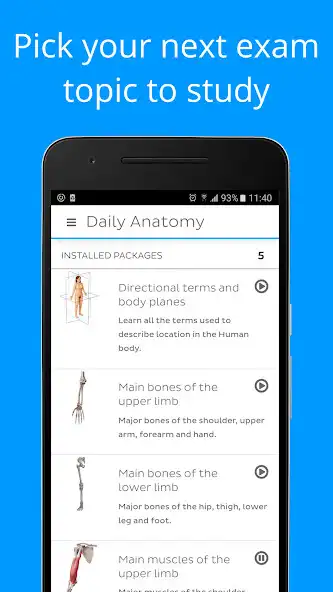 Play Daily Anatomy: Flashcard Quizzes to Learn Anatomy  and enjoy Daily Anatomy: Flashcard Quizzes to Learn Anatomy with UptoPlay