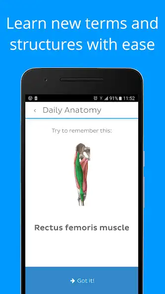 Play Daily Anatomy: Flashcard Quizzes to Learn Anatomy as an online game Daily Anatomy: Flashcard Quizzes to Learn Anatomy with UptoPlay