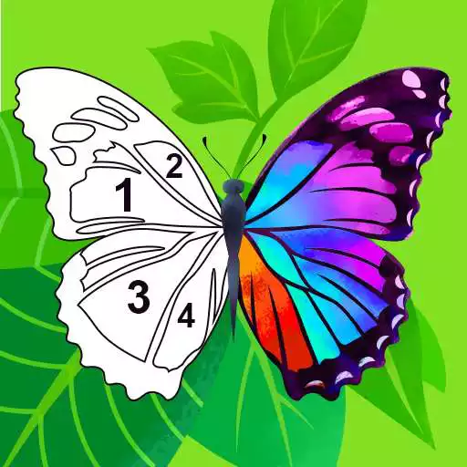 Play Daily Color - Paint by Number APK