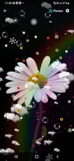 Play Daisy Flower Wallpaper  and enjoy Daisy Flower Wallpaper with UptoPlay