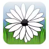 Free play online Daisy Game APK