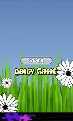 Play Daisy Game