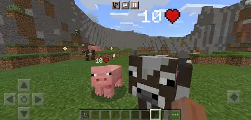 Play Damage Indicator Health Mod Minecraft as an online game Damage Indicator Health Mod Minecraft with UptoPlay