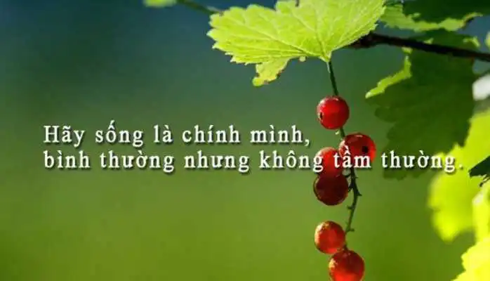 Play Danh Ngon Cuoc Song