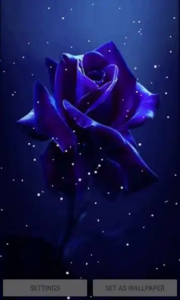 Play Dark Blue Rose LWP  and enjoy Dark Blue Rose LWP with UptoPlay