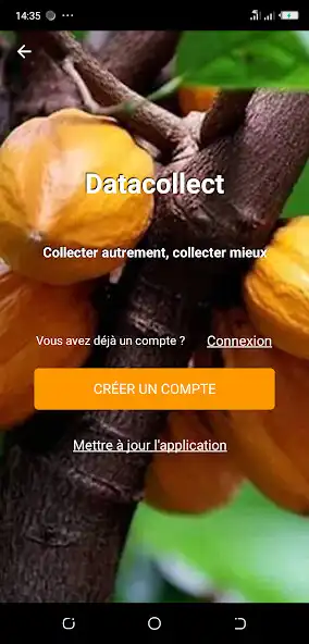 Play DataCollect  and enjoy DataCollect with UptoPlay