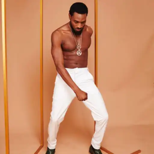 Play DBanj Songs  Albums APK