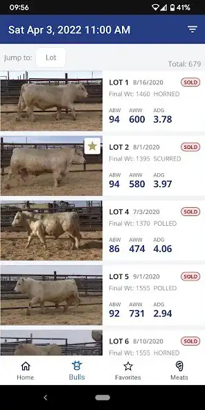 Play DeBruycker Charolais  and enjoy DeBruycker Charolais with UptoPlay