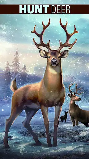 Play DEER HUNTER 2018