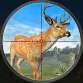 Free play online Deer Hunting Season APK