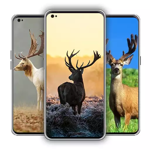 Play Deer wallpaper APK