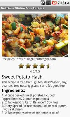 Play Delicious Gluten Free Recipes