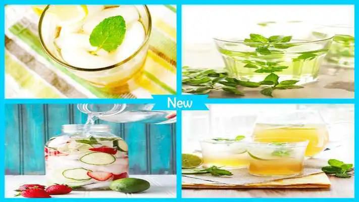 Play Delicious Mint Recipes Instructions