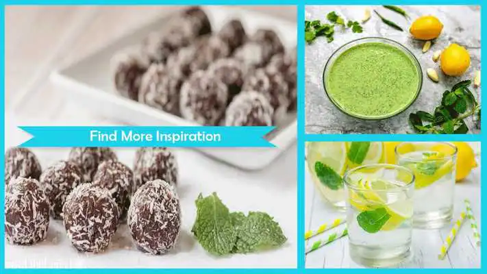 Play Delicious Mint Recipes Instructions