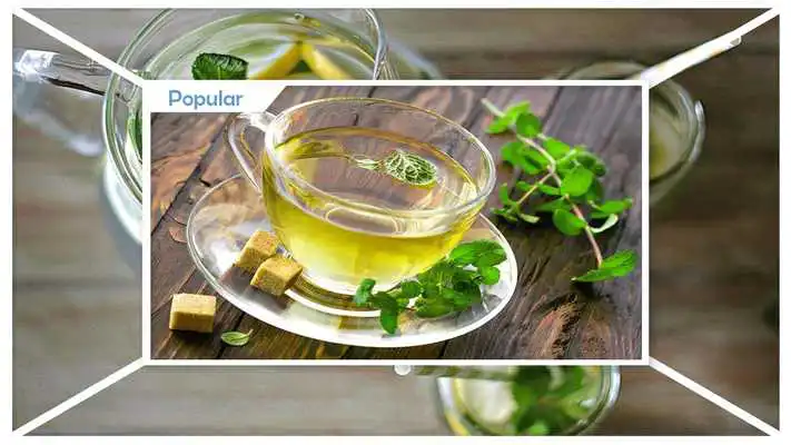 Play Delicious Mint Recipes Instructions