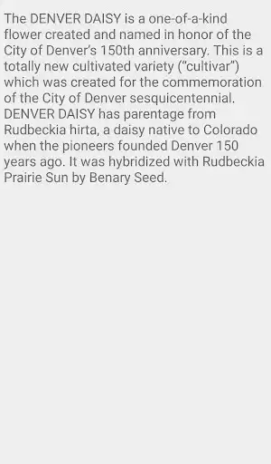 Play Denver Daisy as an online game Denver Daisy with UptoPlay