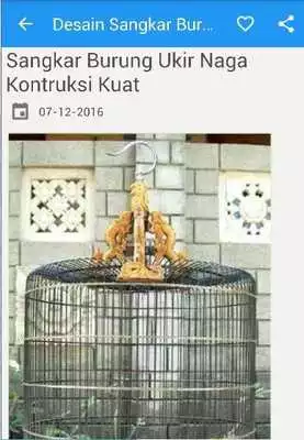 Play Desain Sangkar Burung Kicau