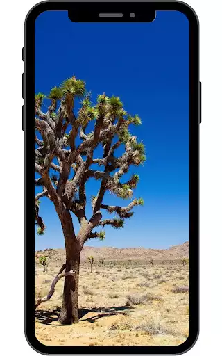 Play Desert Wallpaper  and enjoy Desert Wallpaper with UptoPlay