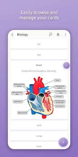 Play ditto: Flashcards and Memory Games  and enjoy ditto: Flashcards and Memory Games with UptoPlay