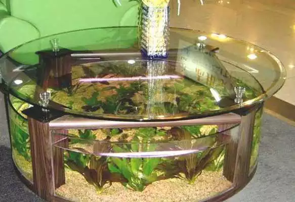 Play diy fish tank