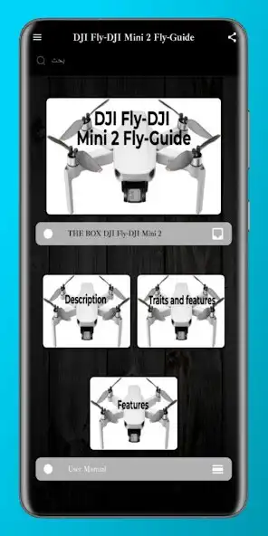 Play DJI Fly-DJI Mini 2 Fly-Guide  and enjoy DJI Fly-DJI Mini 2 Fly-Guide with UptoPlay