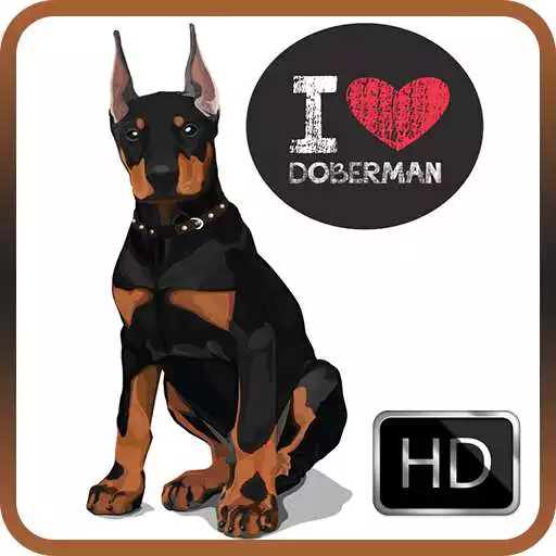 Play Doberman Dog Wallpapers APK