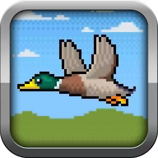 Free play online Dodging Ducks APK